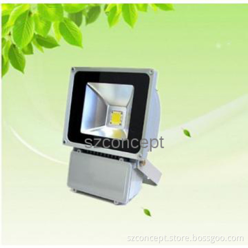 Bridgelux Chip 30W LED Floodlight CE&RoSH